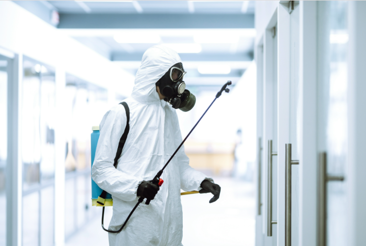 Why Pest Control Companies Struggle to Rank on Google Maps pest control company Google Maps ranking